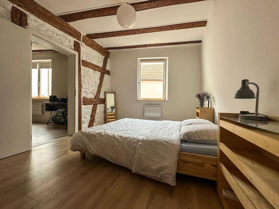 Nouvel Appartement, Le Colombage Heureux Selestat Exterior photo